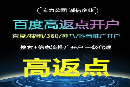 百度推广公司案例解析：如何通过百度推广实现品牌升级